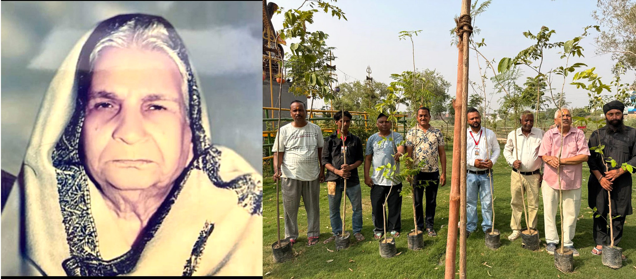 12 shady trees were planted on the occasion of 23rd death anniversary of Late Smt. Devibai, mother of Patron Satnam Hasija, late Pradhan Shri Motan Das Hasija ji.